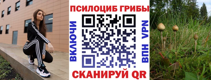 Псилоцибиновые грибы Cubensis  Балабаново 